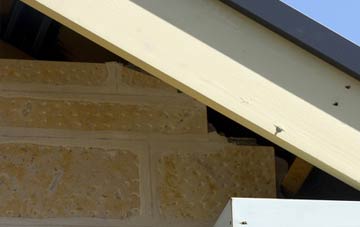 soffit repair Carryduff